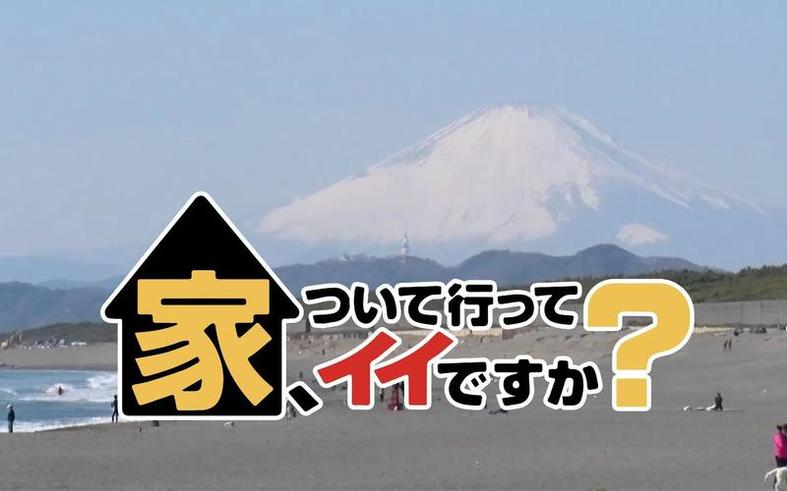 日本综艺《可以去你家吗》三年回访，揭示现代城市生活的真相