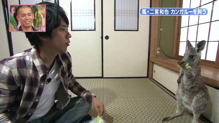 探秘日本整人综艺节目名字叫什么，笑料不断的最新剧情曝光