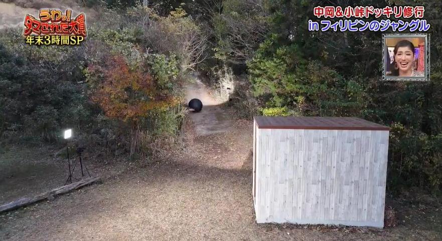 懂得逗笑观众，日本整人搞笑综艺节目如何获得如此高人气？