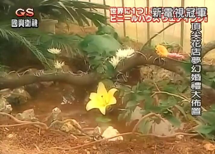 惊险刺激！《电视冠军王》辣椒大挑战终极版