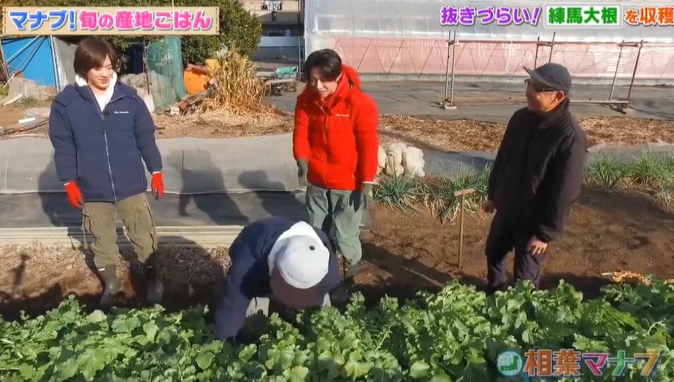 反转课堂，学习新手招式！《相叶学》2017带你破解职场迷题
