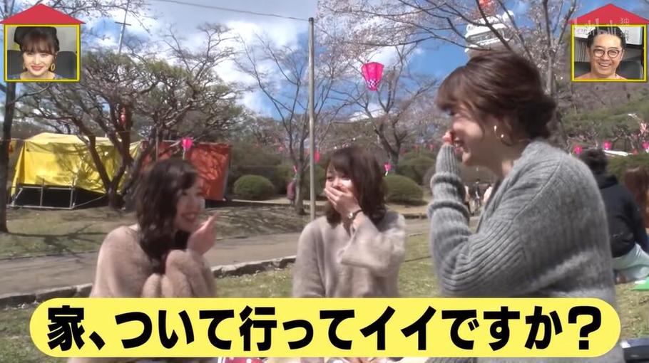日本四组家庭综艺节目火热开播，你还不快来看